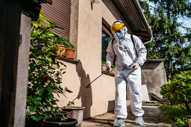 Trusted Ashland, WI Pest Control Experts