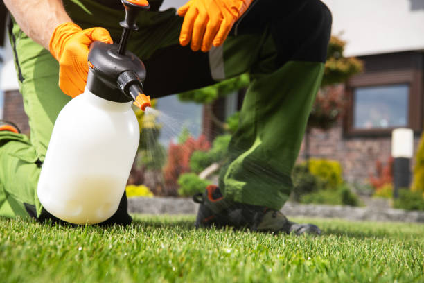 Best Best Pest Control Companies  in Ashland, WI