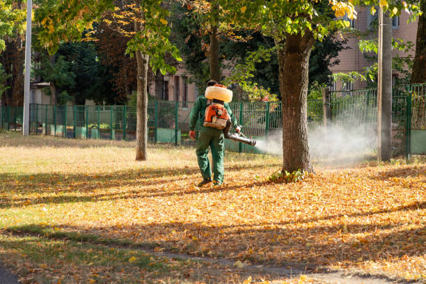 Wasp Removal Services in Ashland, WI