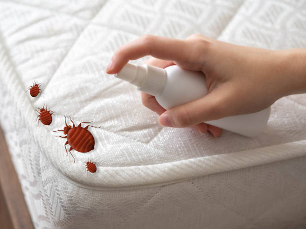 Best Best Pest Control Companies  in Ashland, WI