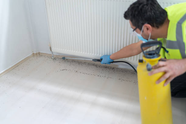 Best Pest Control Near Me  in Ashland, WI