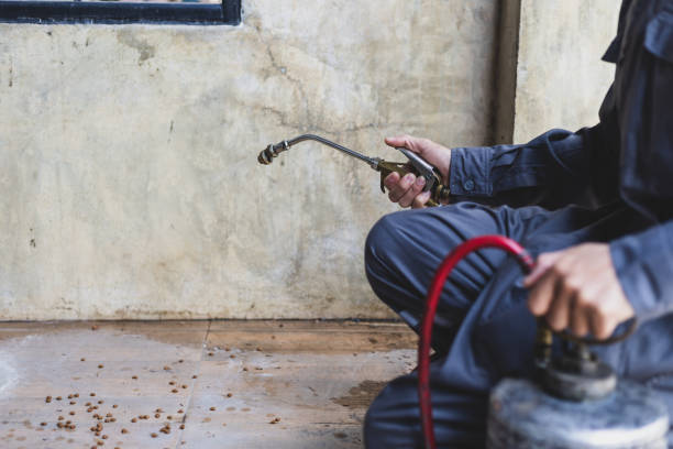 Best Pest Inspection Near Me  in Ashland, WI